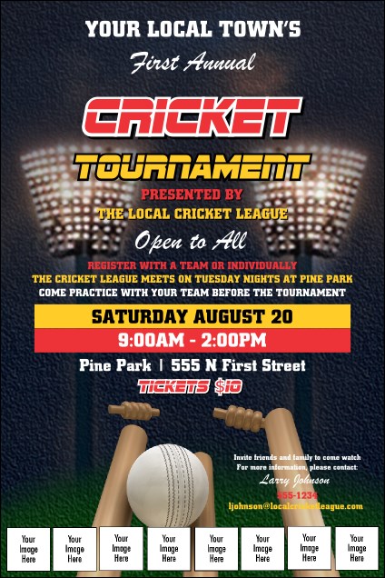 Cricket 2 Logo Poster Product Front