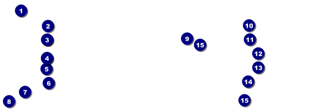Motorsports Raffle Ticket Front Field Markers